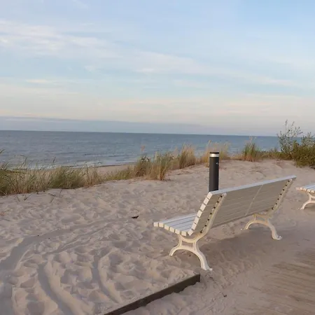 Nebula - Mtn Gardenia Seaside *