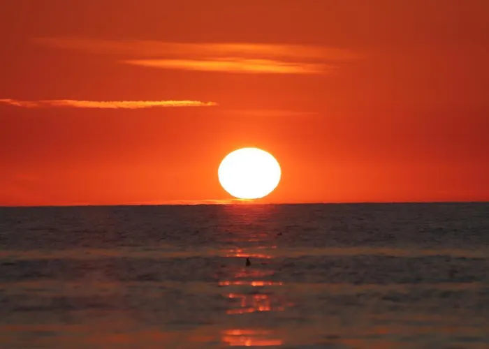Nebula - Mtn Gardenia Seaside