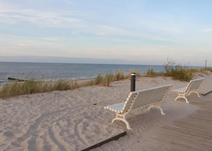 Nebula - Mtn Gardenia Seaside *